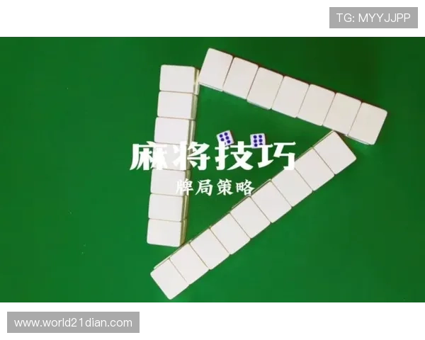 二十一点策略训练器全面解析不同牌局应对策略与实战演练方法