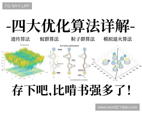 二十一点计算软件的核心算法原理与性能优化方法详解