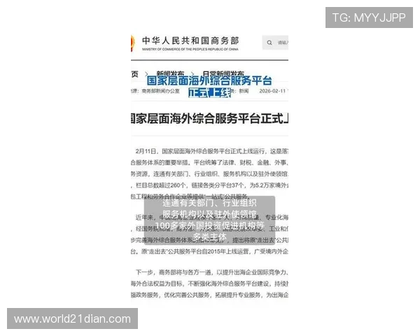 探索21个国外中文网站，帮助海外华人获取最新资讯与交流平台