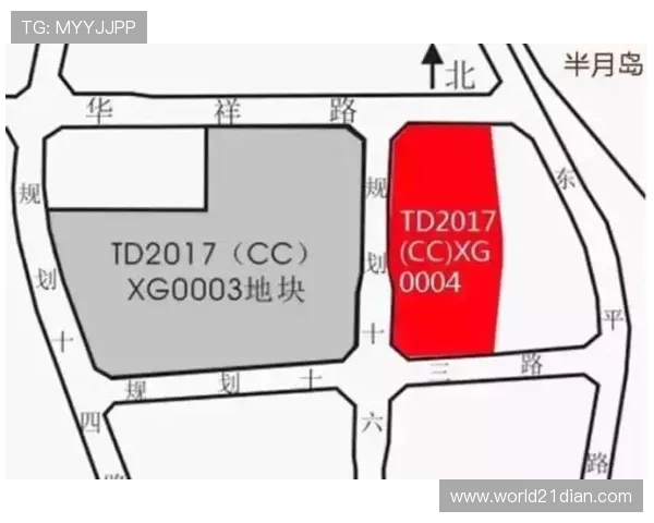 21点游戏项目范围全面解析，涵盖从游戏设计到运营的各个环节